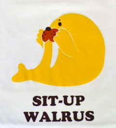 walrus.up