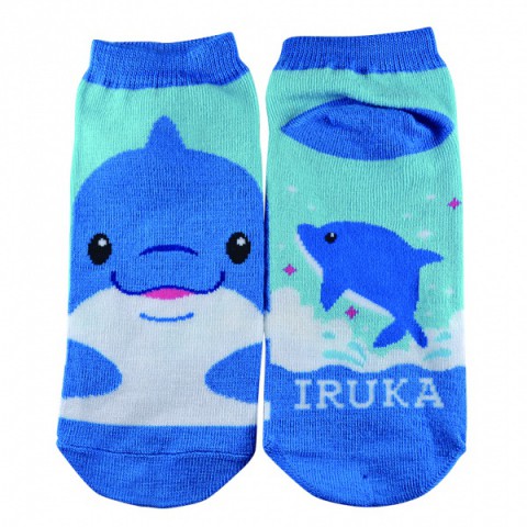 socks_iruka